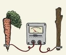 stick-and-carrot