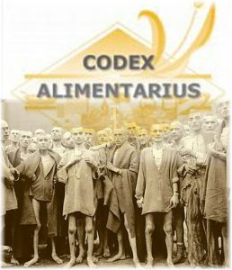 codex-auschwitz